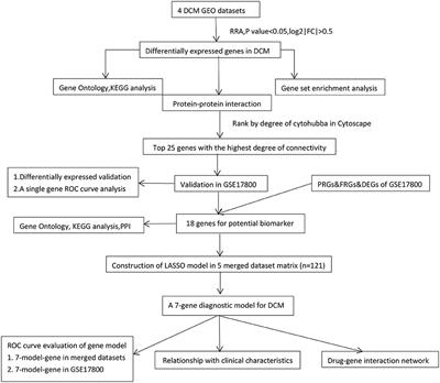 Robust Rank Aggregation and Least Absolute Shrinkage and Selection Operator Analysis of Novel Gene Signatures in Dilated Cardiomyopathy